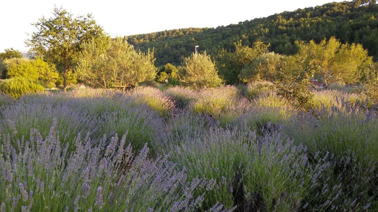 Apartmani Goga Skradin Esterno foto